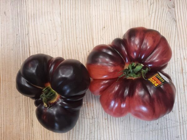 Tomate Azul