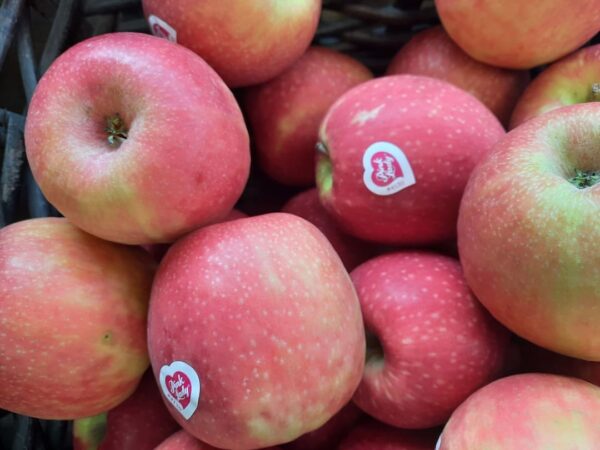 Manzana Pink Lady