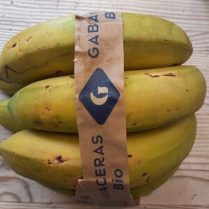 Platano BIO Gabaceras