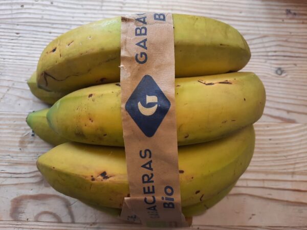 Platano BIO Gabaceras