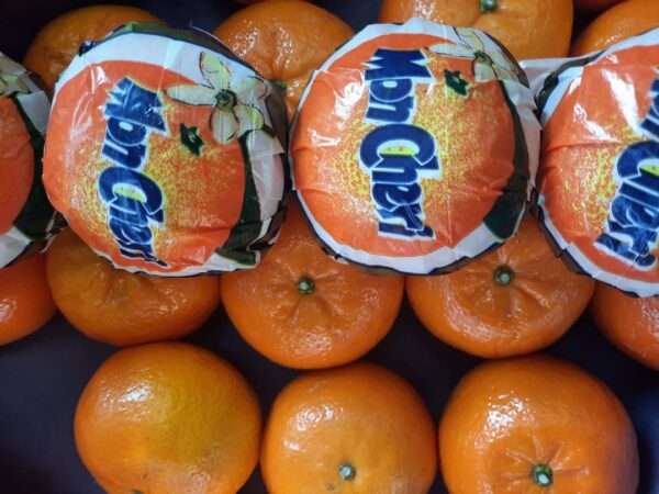 Mandarina Mon Cherí