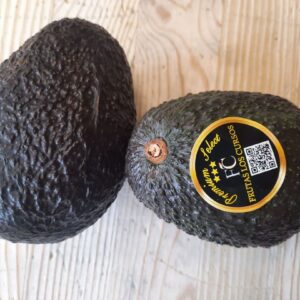 Aguacate
