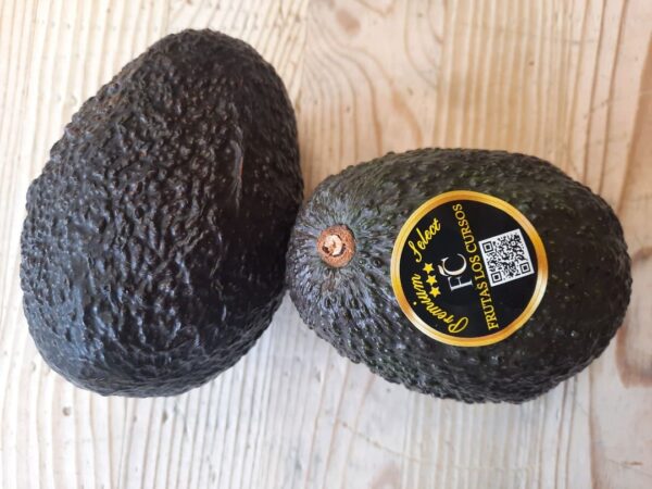 Aguacate