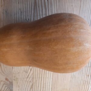 Calabaza Cacahuete